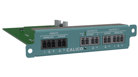 CALICO AUDIO (2)