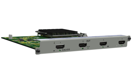 CALICO 4x HDMI 4K60 OUT (2)